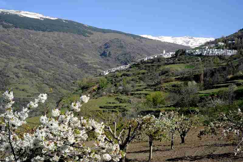 Capileira Yoga & Hiking Retreat